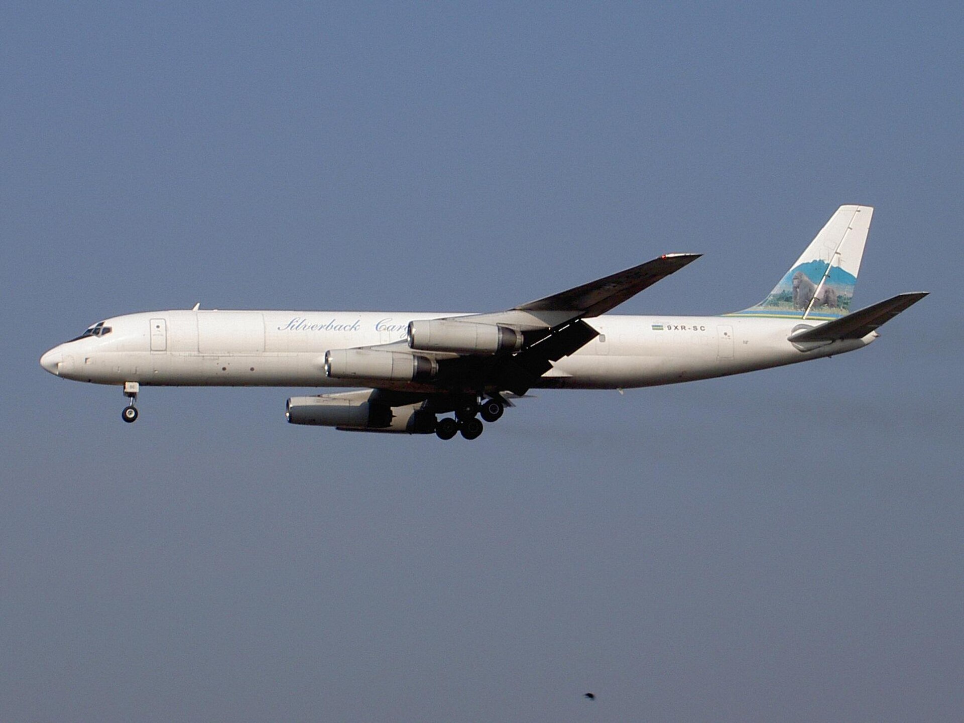 Illustrative image: Silverback Cargo Freighters DC-8 landing at Brussels